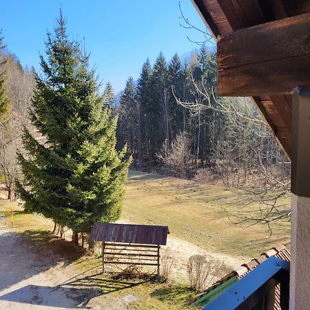 Apartment Dobnikar Kranjska Gora Exterior photo